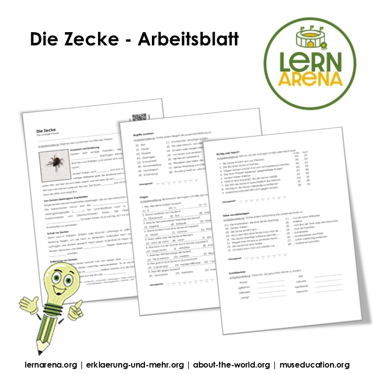 Die Zecke – 3-seitiges Arbeitsblatt (PDF)
