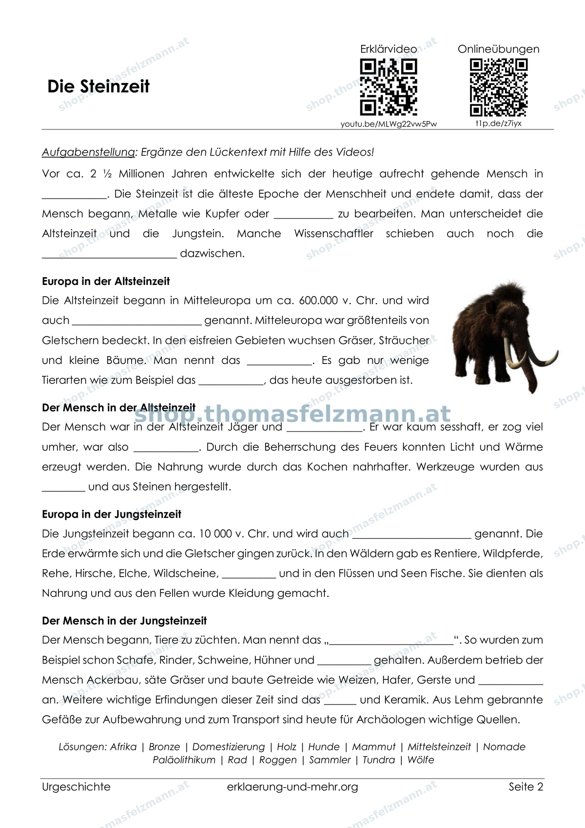 Urgeschichte – Steinzeit, Bronzezeit & Eisenzeit | 12-seitiges Arbeitsheft (PDF)