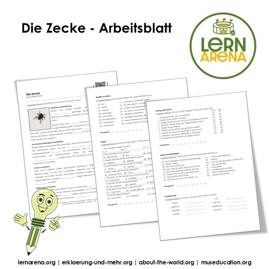 Die Zecke – 3-seitiges Arbeitsblatt (PDF)